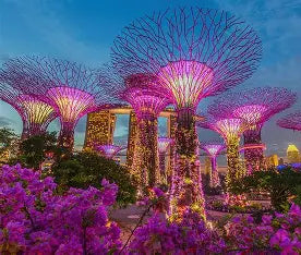 Gardens by the Bay